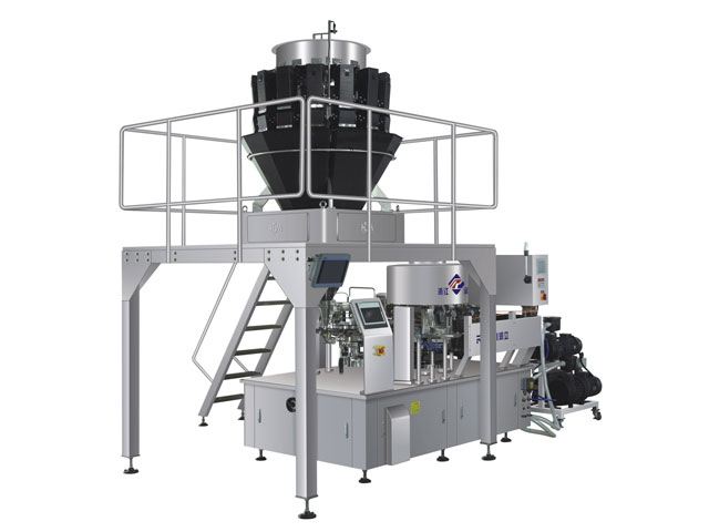 RL-GD8-ZK10-200/240筍干全自動(dòng)真空包裝機(jī)